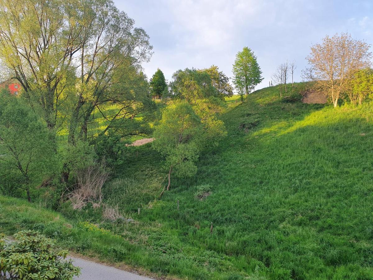 Fewo-Hierundjetzt Lichtenhain Bei Sebnitz Am Malerweg ภายนอก รูปภาพ