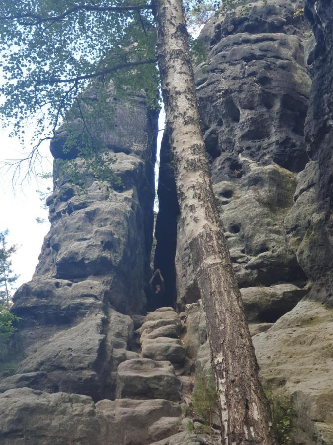 Fewo-Hierundjetzt Lichtenhain Bei Sebnitz Am Malerweg ภายนอก รูปภาพ